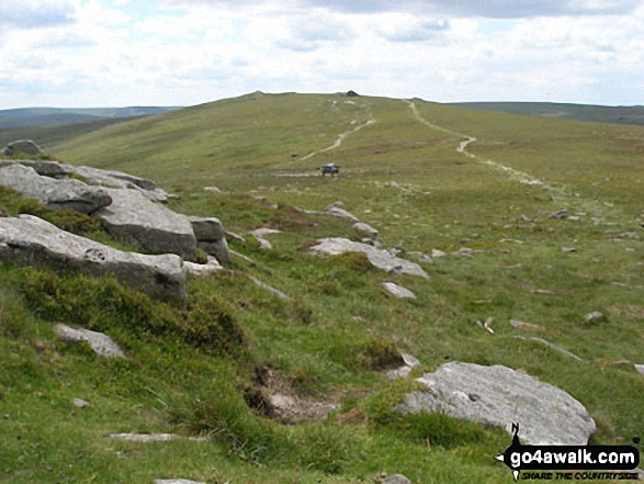 Walk High Willhays in Dartmoor, Devon, England