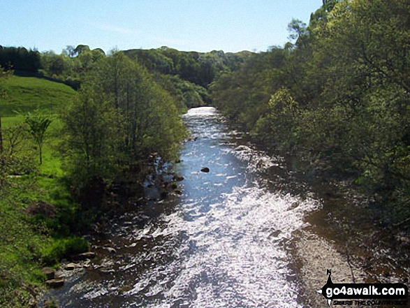 Walk n104 Drake Stone from Harbottle - The River Coquet