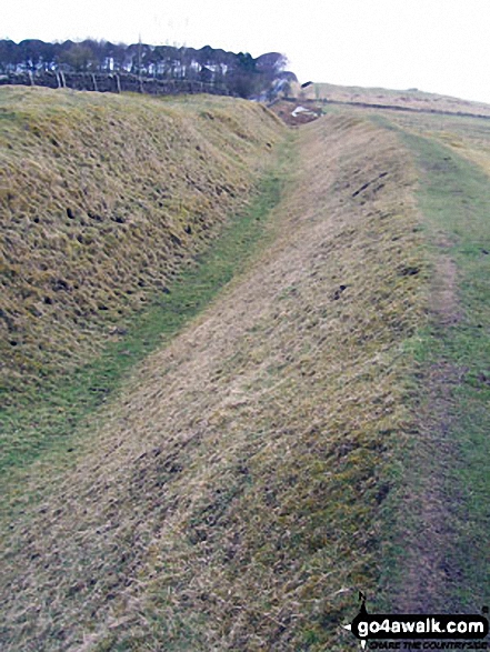 A Ditch or a Vallum (still not sure which) near Halton Shields - Walking The Hadrian's Wall Path National Trail - Day 3