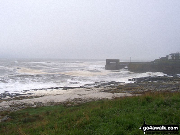 Craster Harbour