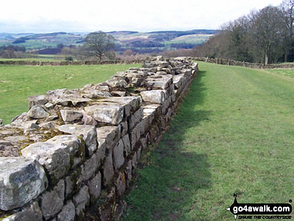 Hadrian's Wall at Planetrees - Walking The Hadrian's Wall Path National Trail - Day 3