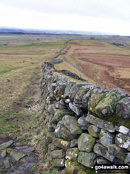 Hadrian's Wall near Carrawbrough - Walking The Hadrian's Wall Path National Trail - Day 4