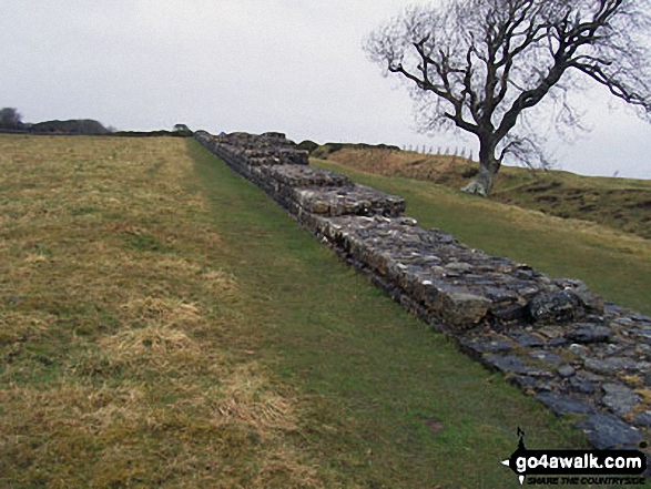 Hadrian's Wall near Black Carts Turret - Walking The Hadrian's Wall Path National Trail - Day 4