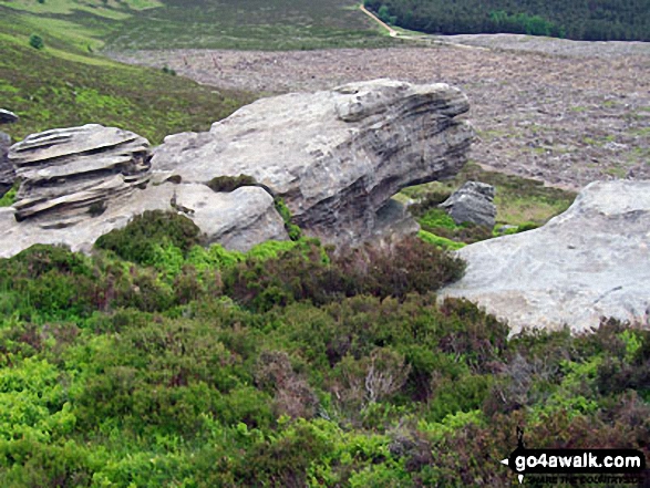 Near summit of Simonside