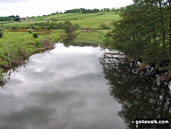 Walk n104 Drake Stone from Harbottle - The River Coquet