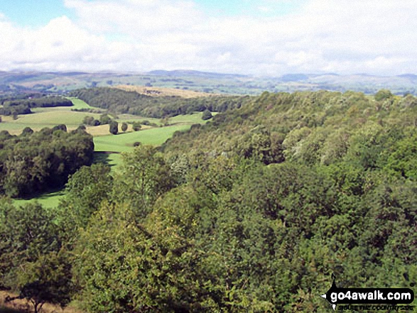 Walk c190 Scout Scar from Kendal - Looking west from the summit of Scout Scar (Barrowfield)