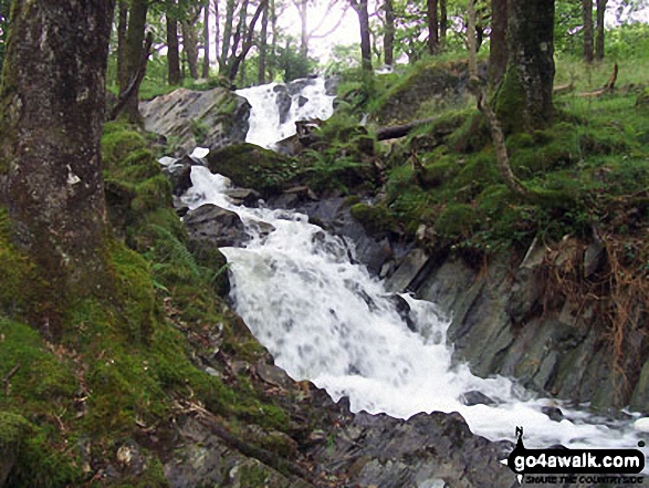 Downstream from the Tom Gill Waterfalls near Tarn Hows