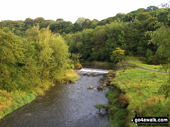 The River Derwent on The Red Kite Trail near Winlaton Mill, Gateshead