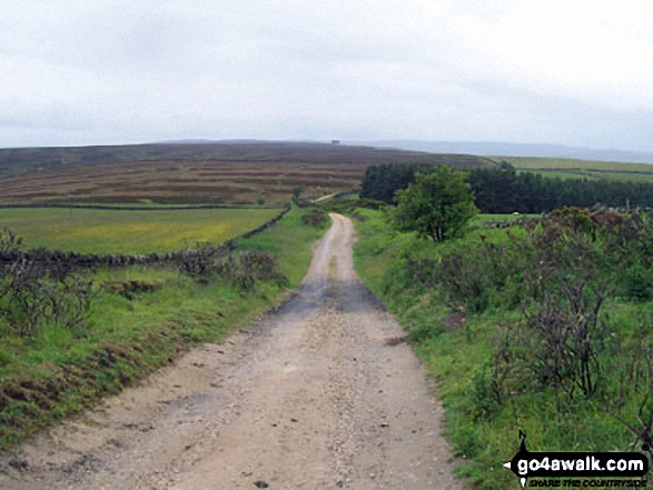 Walk n151 Killhope Law and Carrshield Moor from Allenheads - On The Weardale Way looking towards Elephant Trees