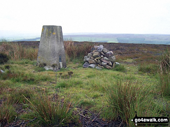 Wolsingham North Moor summit trig point