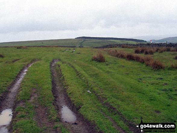 Track across Wolsingham North Moor