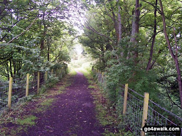 Path leading to the River Lune Viaduct