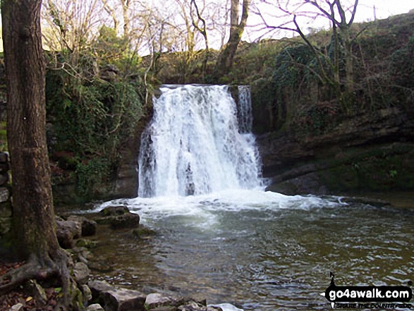 Walk ny122 Gordale Scar and Malham Cove via Shorkley Hill from Malham - Janet's Foss near Malham