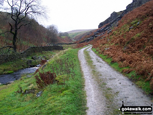 Walk ny273 Cockbur Ford, Hebden and The River Wharfe from Grassington - The path by Hebden Beck