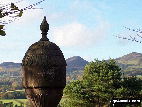 Looking back to Eildon Wester Hill, Eildon Mid Hill and Eildon Hill North from an stone urn near Wallace's Statue, Dryburgh