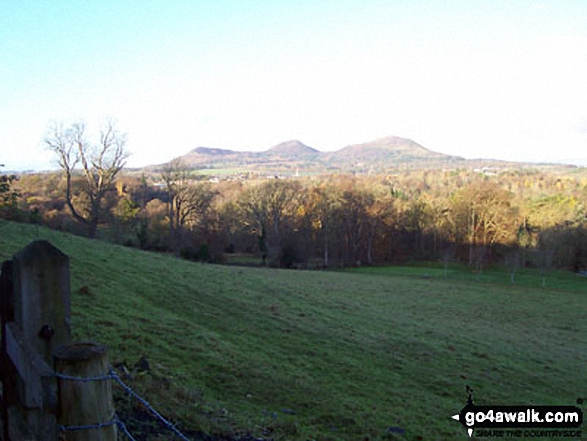 Eildon Wester Hill, Eildon Mid Hill and Eildon Hill North from The St Cuthbert's Way near Tweed Horizons