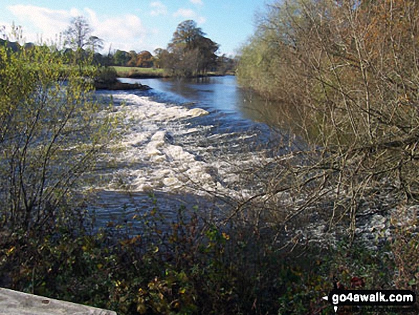 Weir on the River Teviot near Monteviot House on The St Cuthbert's Way