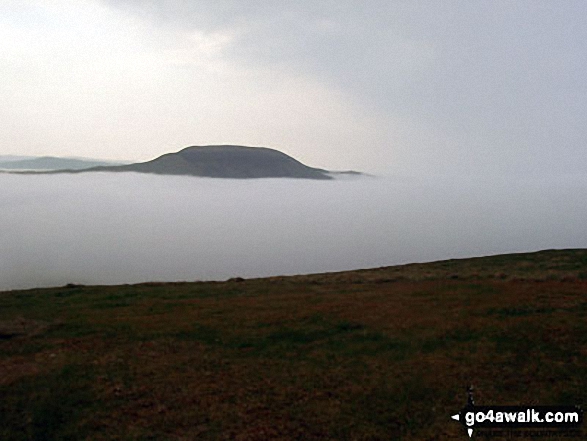 Hownam Law poking through the clouds during a Temperature Inversion from The St Cuthbert's Way on Wideopen Hill