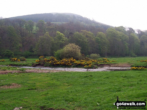 Bowmont Water near Kirk Yetholm on The St Cuthbert's Way