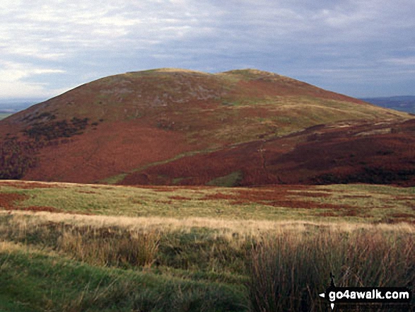 Yeavering Bell from The St Cuthbert's Way near Torleehouse