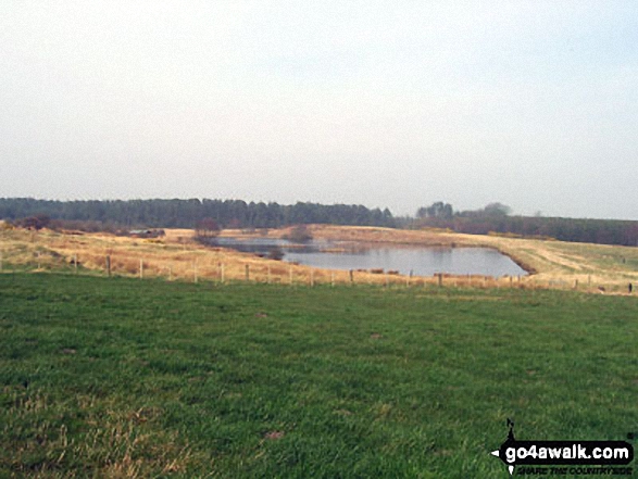 Walk n123 Blawearie and Tick Law from Old Bewick - On The St Cuthbert's Way at Blawearie near Fenwick