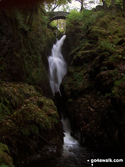 Aira Force