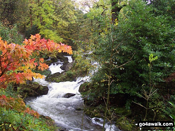 Walk c216 Stone Arthur, Great Rigg and Heron Pike from Grasmere - Rydal Beck at Rydal Hall