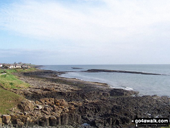 Looking north from Black Nose Point