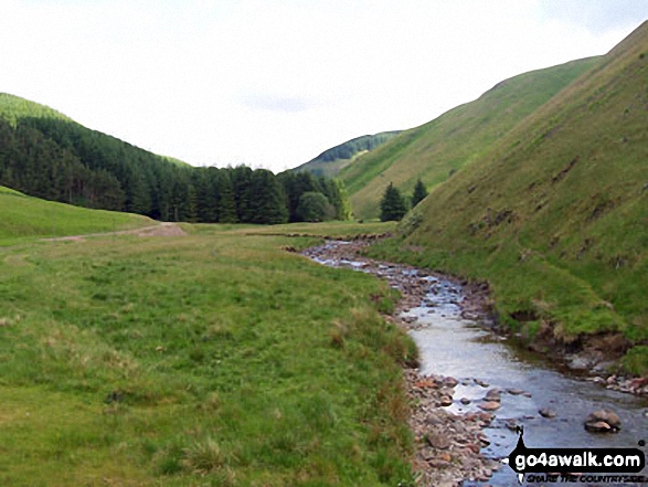 The River Alwin at Kidland Forest