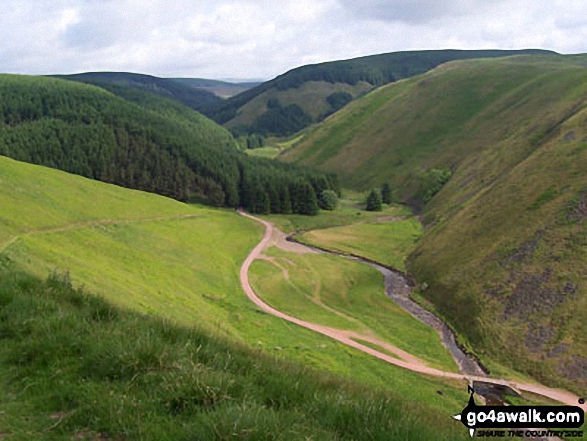 Walk n131 Alwindale and Clennell St from Alwinton - The River Alwin, Alwindale and Kidland Forest with Inner Hill and Puncherton Hill beyond from Clennell Street