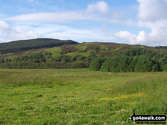 Walk n131 Alwindale and Clennell St from Alwinton - The view from Alwinton Car Park