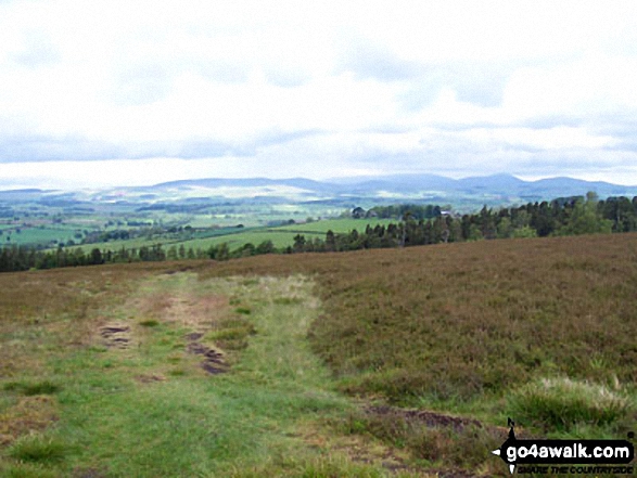 Looking West from Glitteringstone