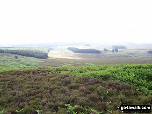 Looking east from Ros Hill