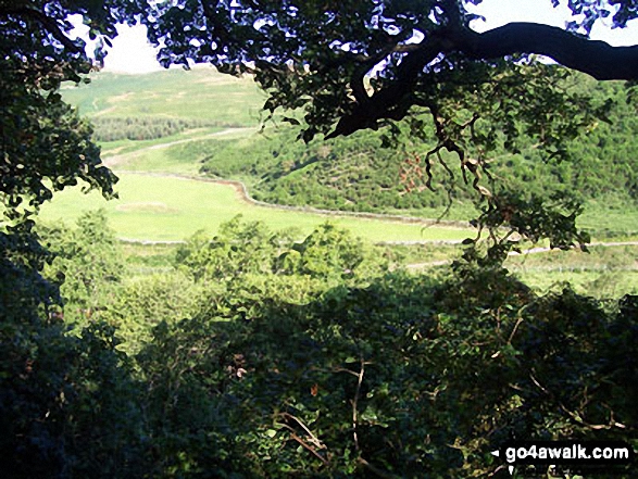 View from the path above Carey Burn Bridge