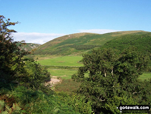 Watch Hill and Hart Heugh from the path above Carey Burn Bridge