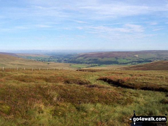 View north from Black Hill (Whitley Common)