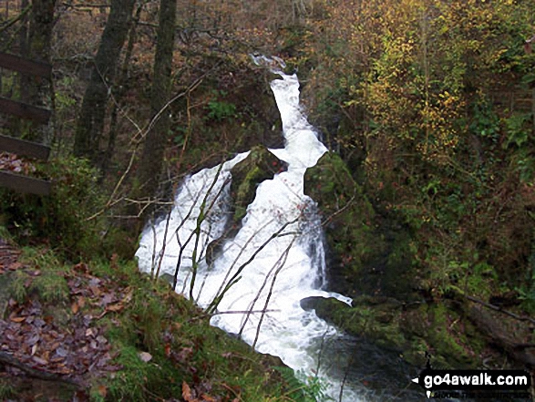 Colwith Force