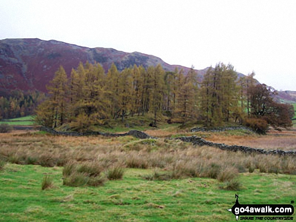 Walk c303 Swirl How and Wetherlam from Little Langdale - Near Little Langdale Tarn