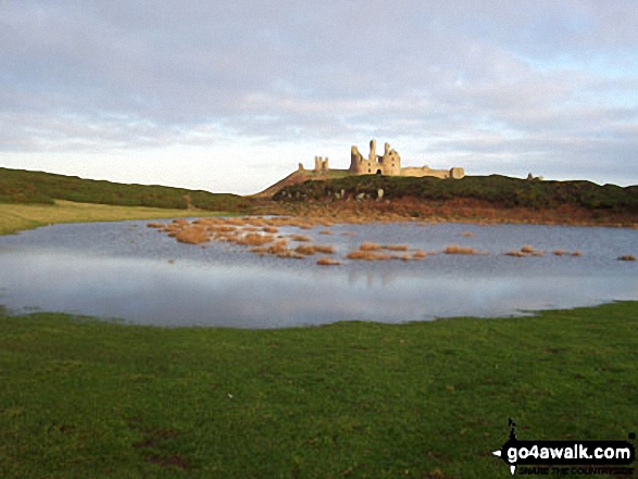 Dunstanburgh Castle from Cushat Stiel