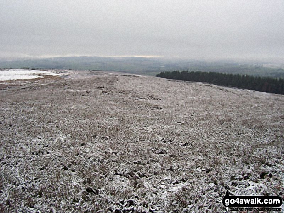 View from Rothbury Terraces