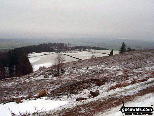 View from Rothbury Terraces