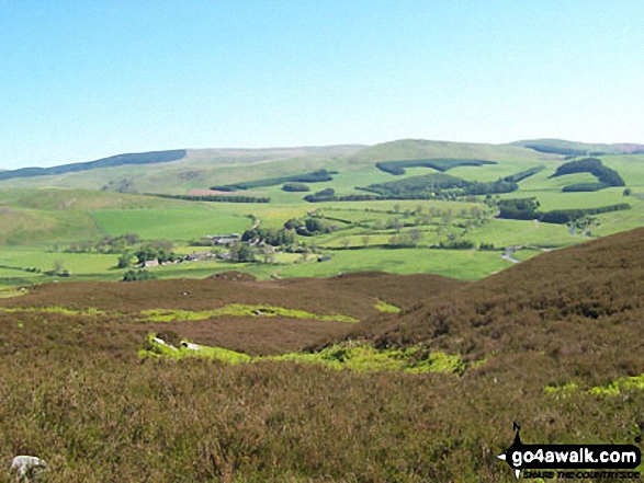 Silverton Hill (Coquetdale) from West Wood