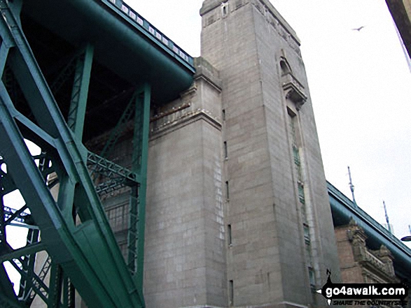 The Kittiwake colony on the Tyne Bridge - Walking The Hadrian's Wall Path National Trail - Day 1