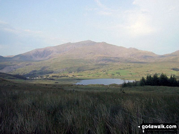 The Snowdon Massif - Garnedd Ugain (Crib y Ddysgl), Snowdon (Yr Wyddfa) & Y Lliwedd  beyond Llyn-y-Gader from Cwm Marchnad at the northern edge of Beddgelert Forest