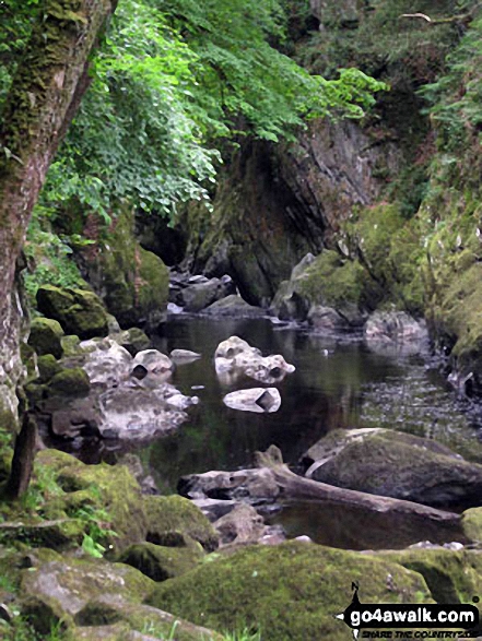 Fairy Glen, Betws-y-Coed