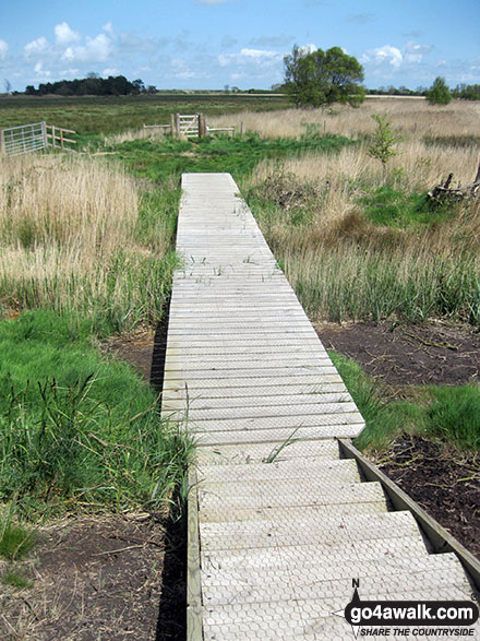 Walk nf104 Horsey Mere from Horsey - Duckboards near Horsey Drainage Mill