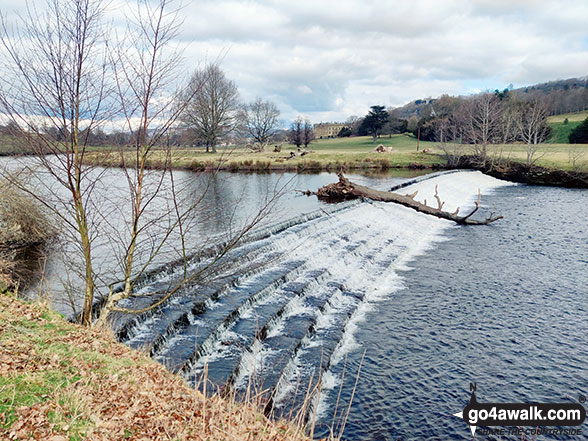 Walk d167 Chatsworth Park from Chatsworth House - Weir on the River Derwent in Chatsworth Park