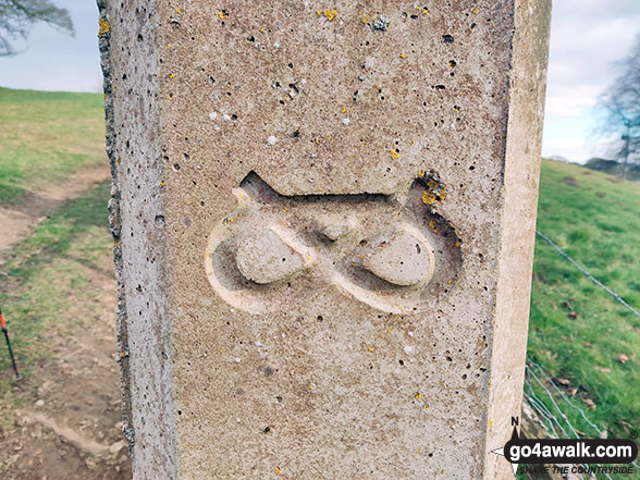 Walk d259 Hurdlow, High Wheeldon, Crowdecote, Upper Dove Dale and Pilsbury Castle Hills from Monyash - Staffordshire Way knot motif on a concrete post near Pilsbury Castle Hills
