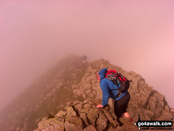 Walk c427 Helvellyn via Striding Edge from Patterdale - On Striding Edge in thick mist