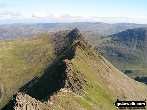 Walk c427 Helvellyn via Striding Edge from Patterdale - Striding Edge basking in glorious September Sun viewed from Helvellyn